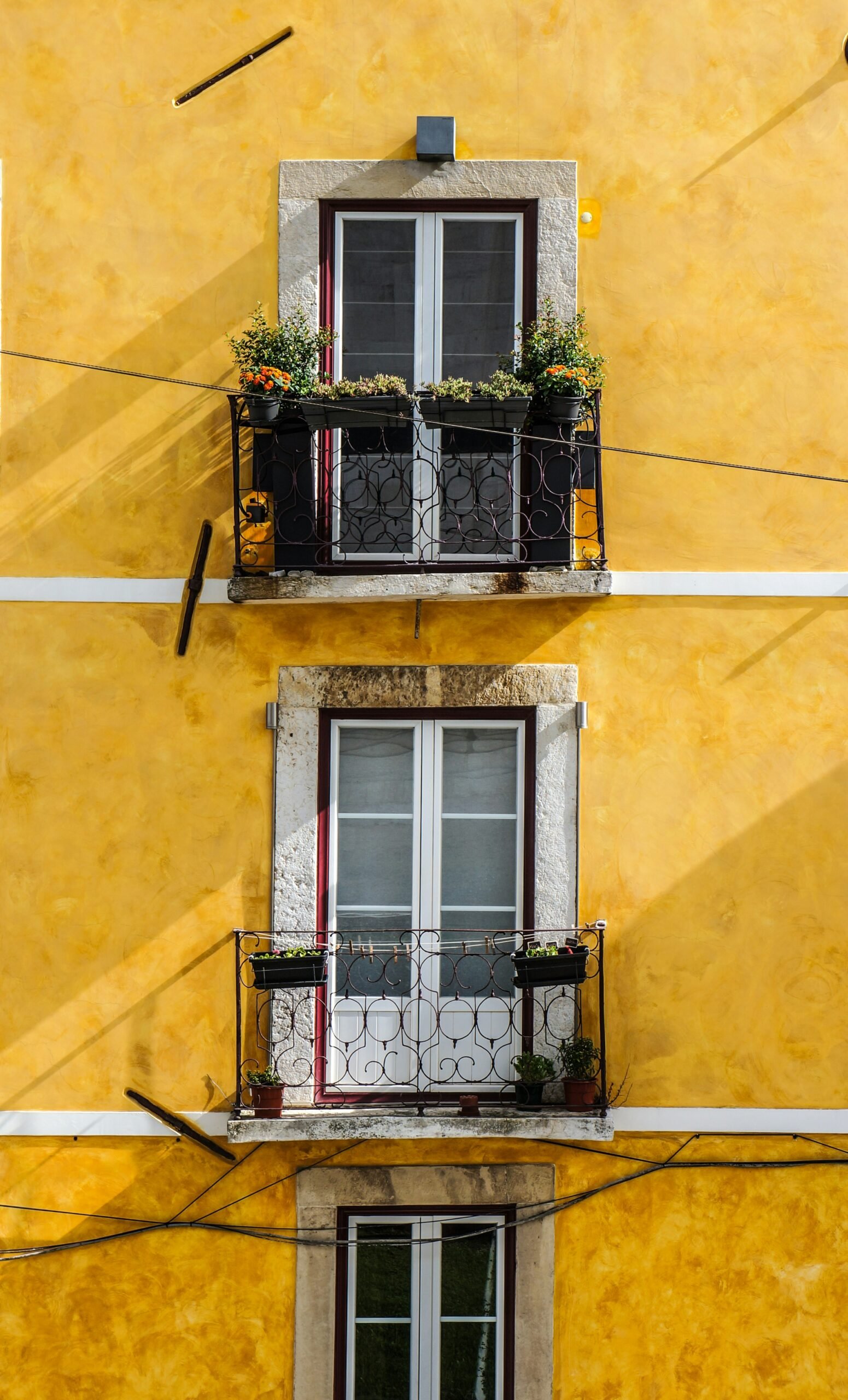lili popper hq8s4zjhj3i unsplash